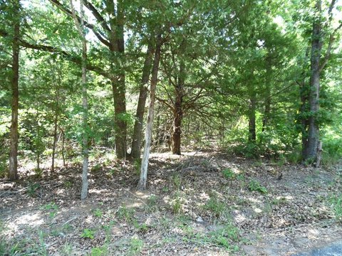 LAND - Murchison, TX