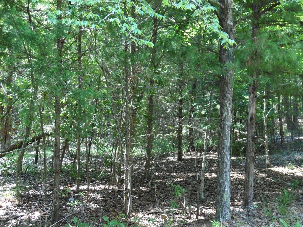 Picture 6