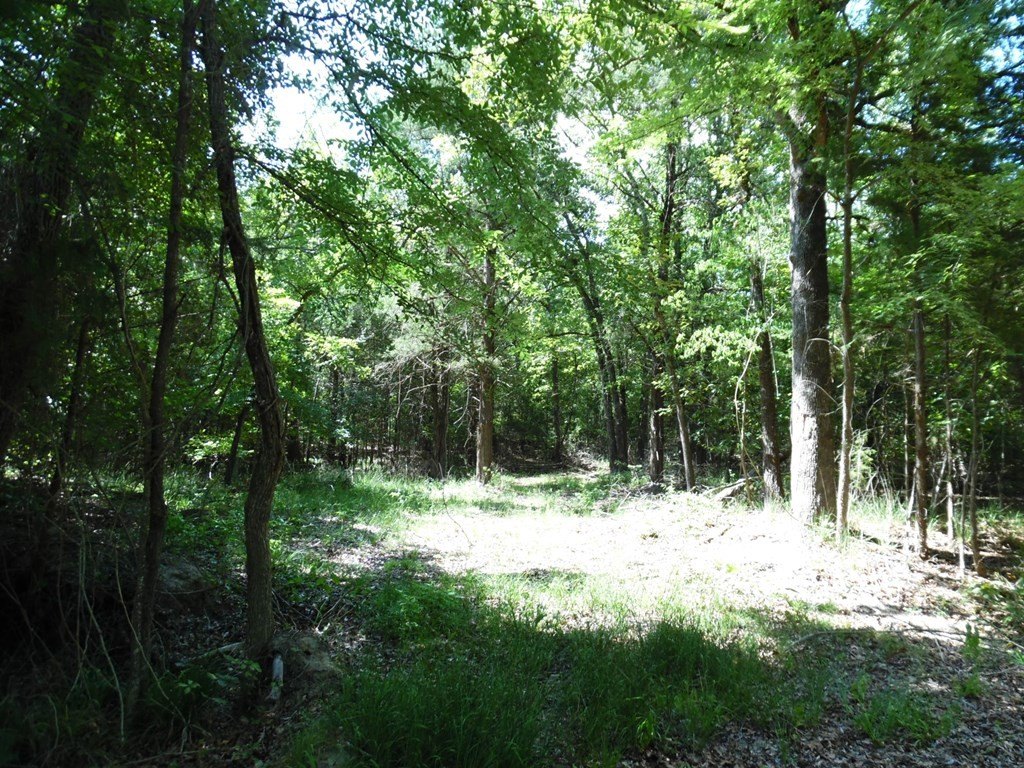 Picture 4
