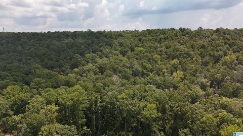34.29 Acres in McCalla, AL