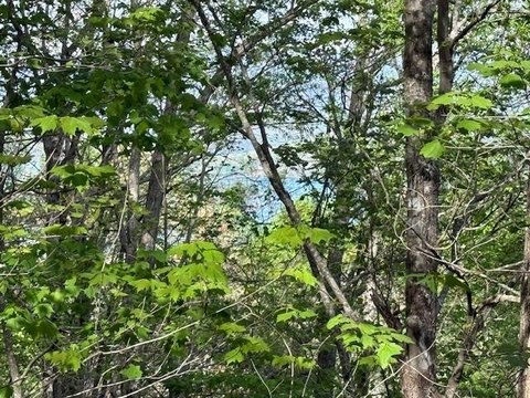 Vacant Lot with Lake View