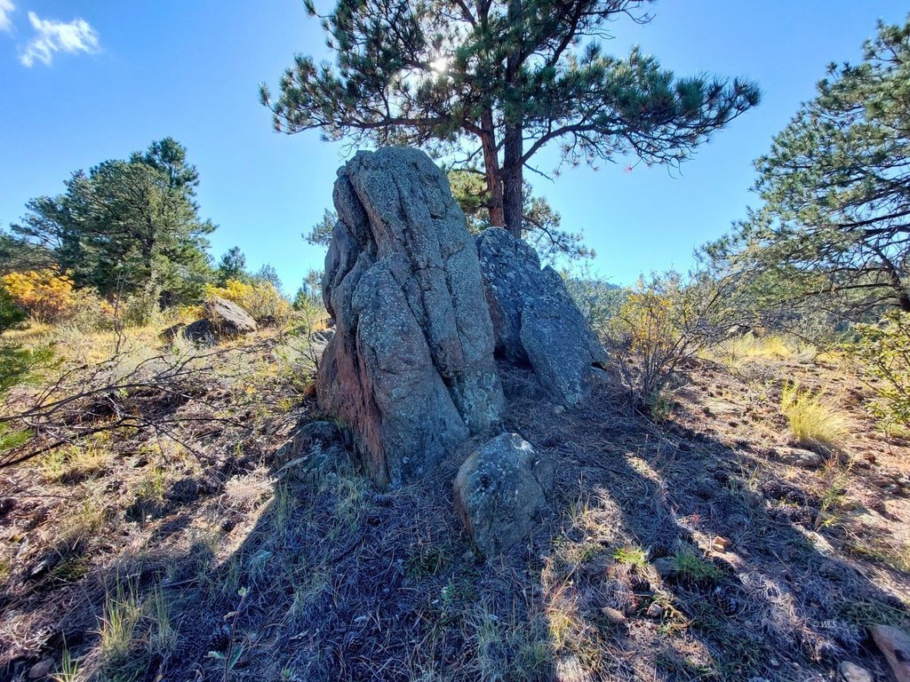 Picture 24