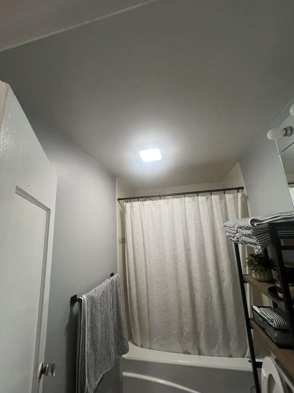 Picture 23