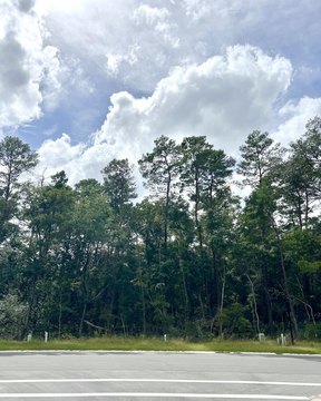 Residential Lot in Deer Moss Creek