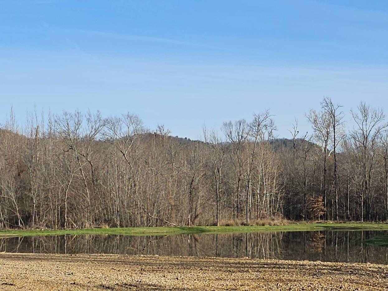 Land with Creek and Pond