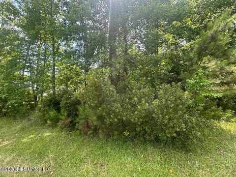 Land, Pachuta, MS