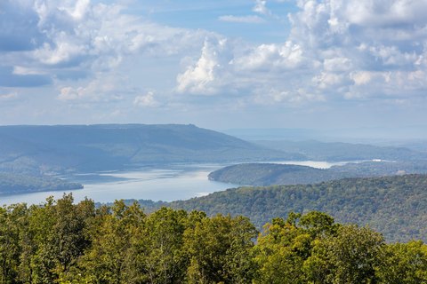 Land, Guild, TN