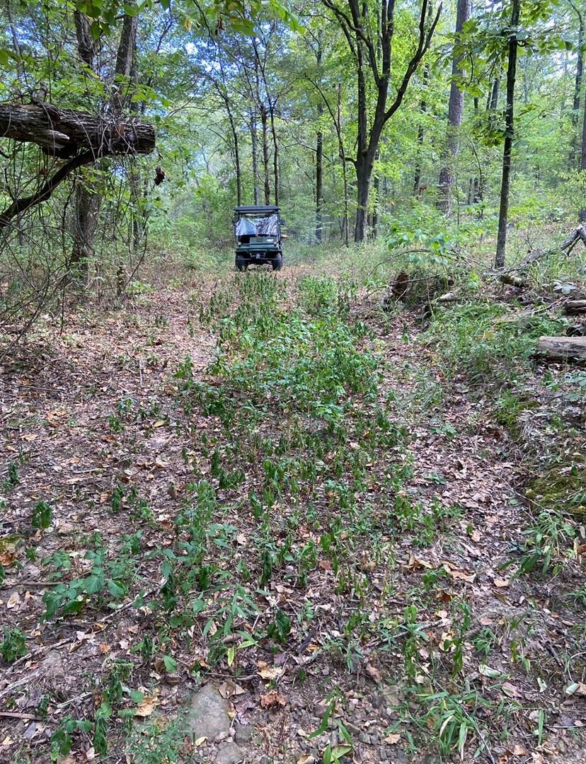 Land in Kiamichi Wilderness