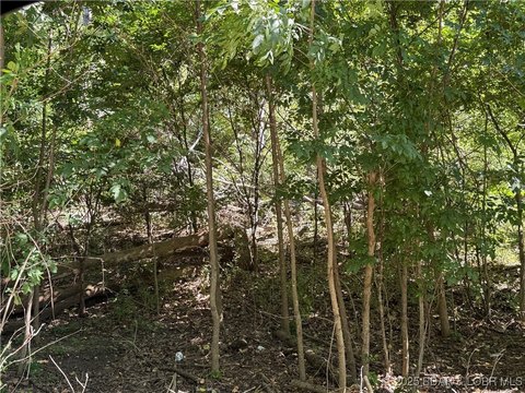 Camdenton Land for Custom Home