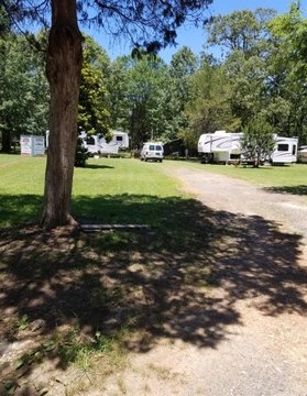 Acre Lot Near Lake Wright