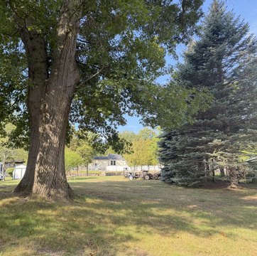 Land, Ludington, MI
