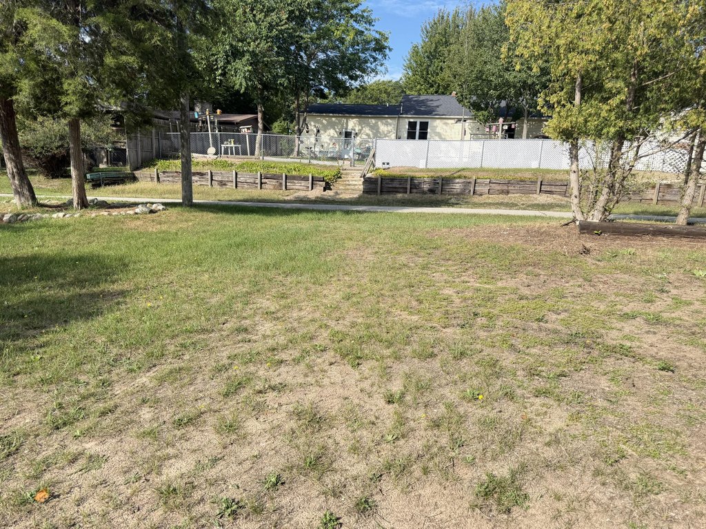Picture 3