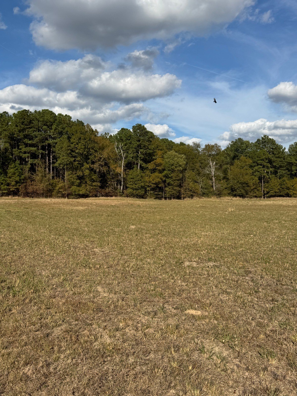 30 Acres of Vacant Land