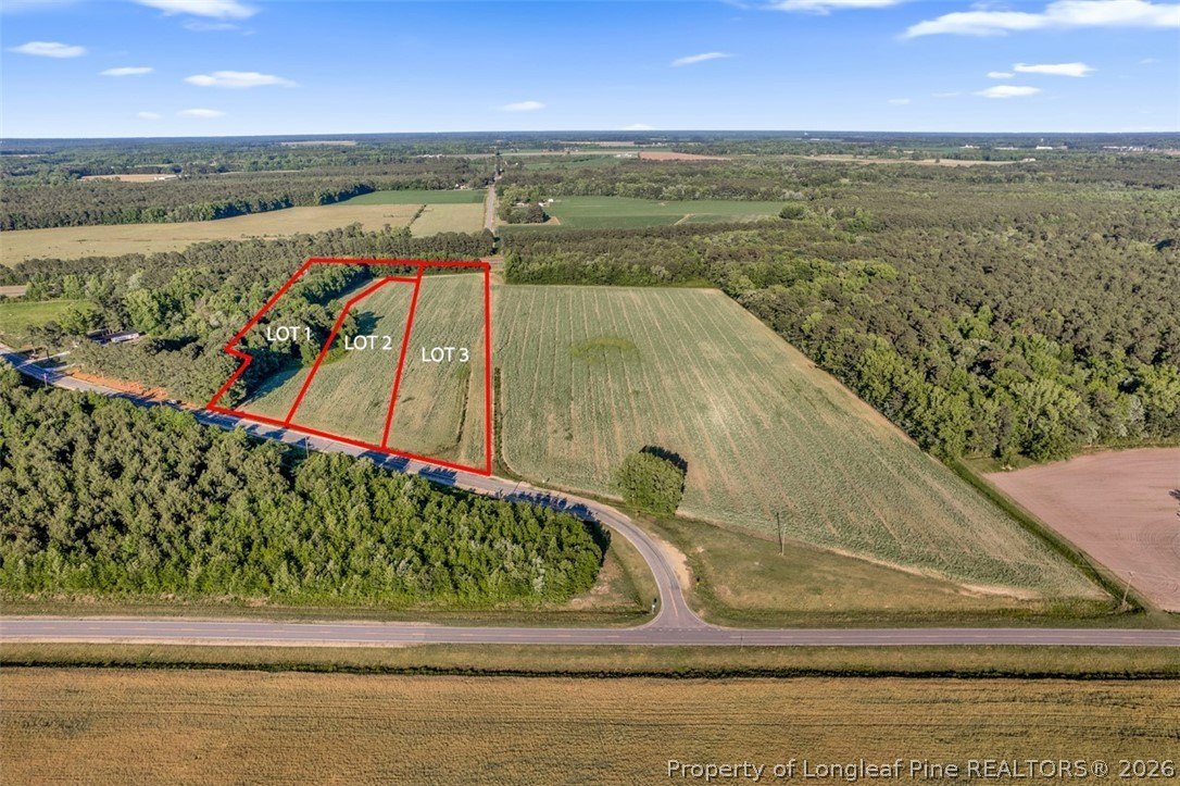 Partially Cleared Land in Turkey, NC