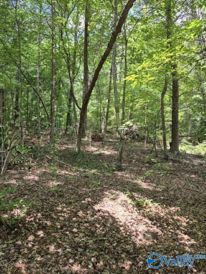 Wooded Lot Near Little River