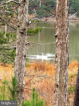 Waterfront Land in King George