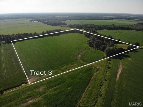 Agricultural Land Tracts with Timber