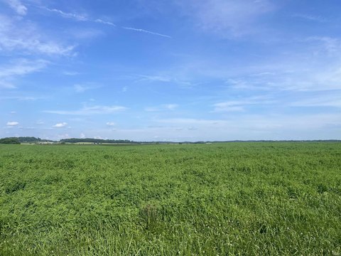 Productive Farmland Parcel