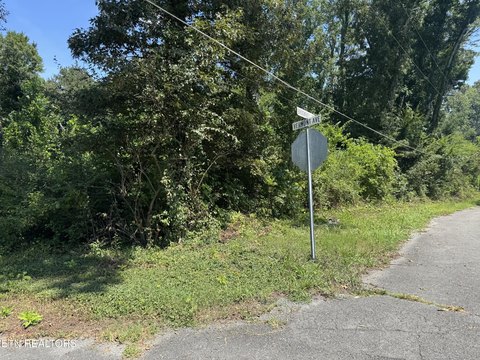 Lots & Acreage, Etowah, TN