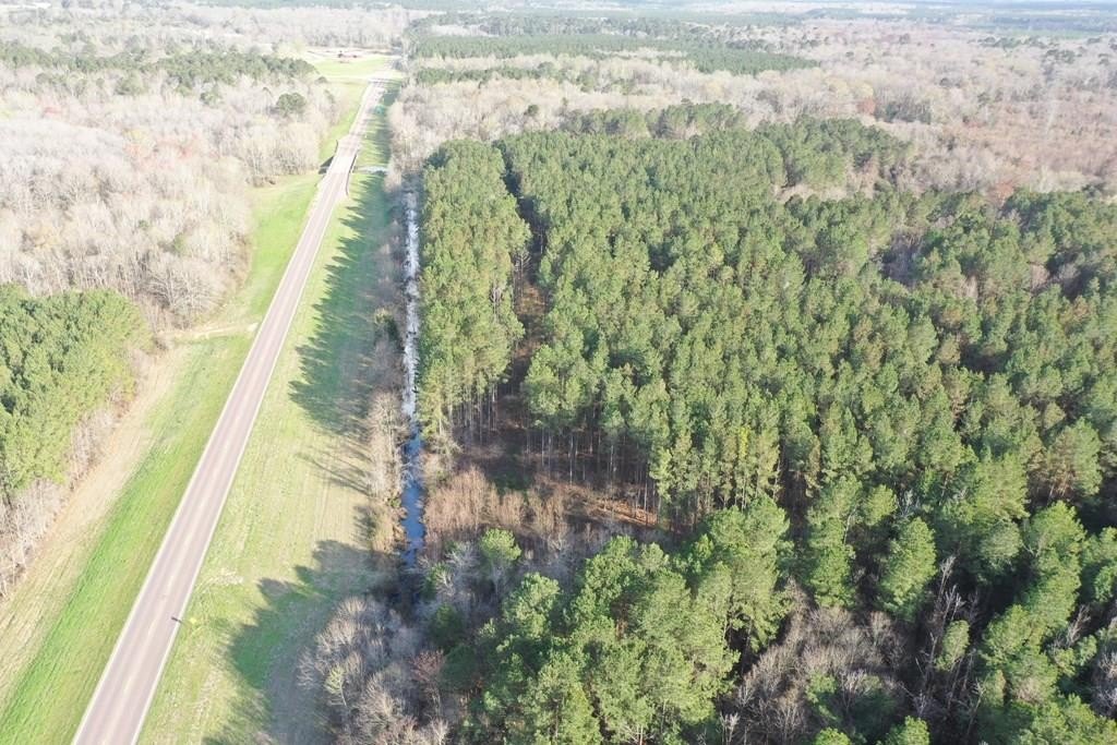 90.5 Acres Near Mize, MS