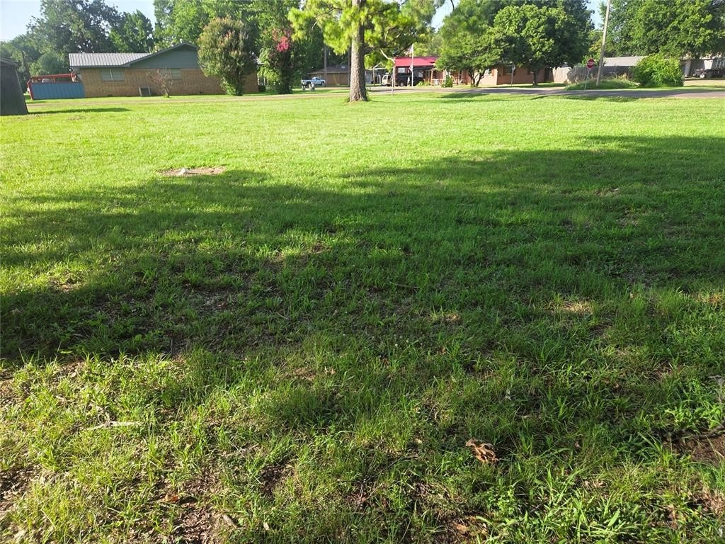 Picture 4