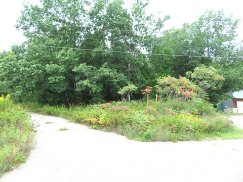 Rhinelander Land For Sale