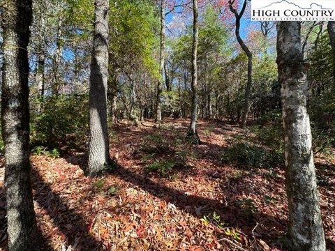 Residential Land in West Jefferson