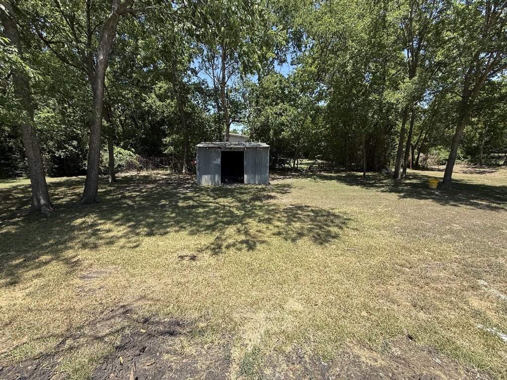 Picture 9