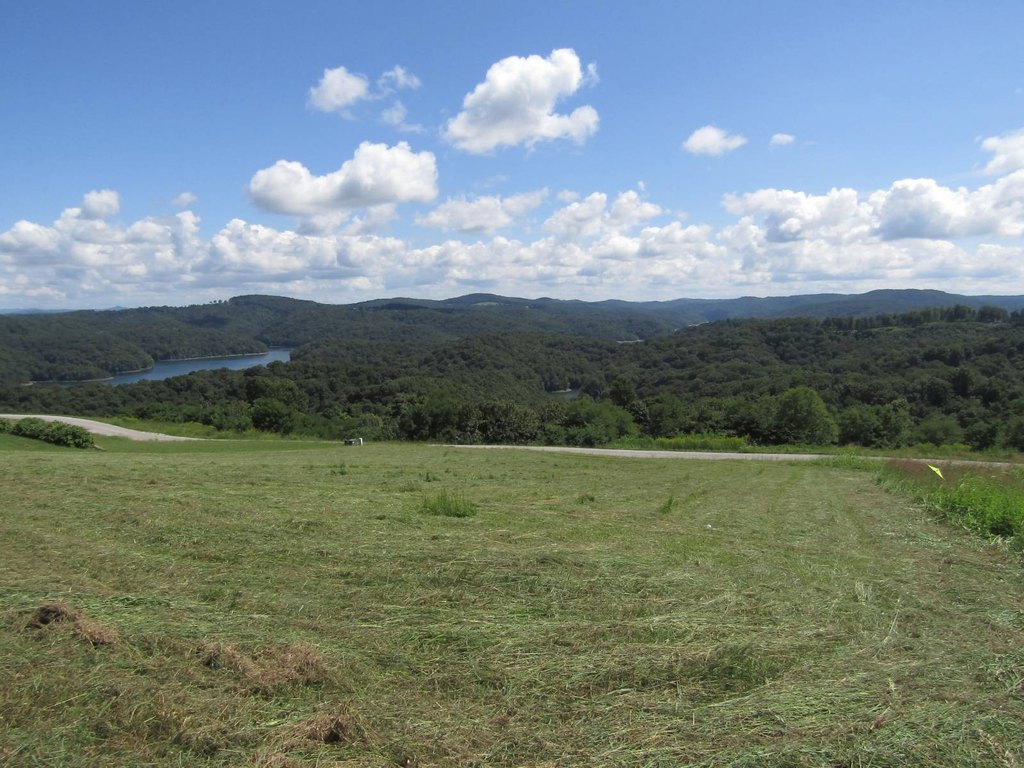 Picture 9