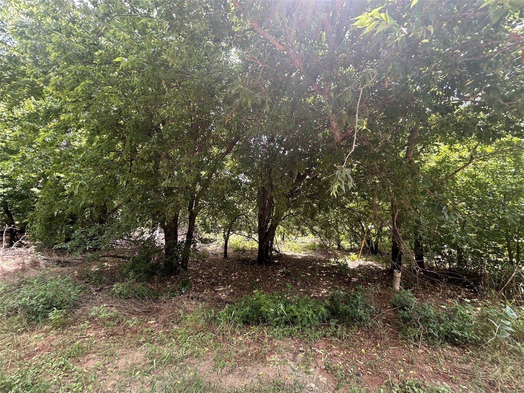 Picture 3