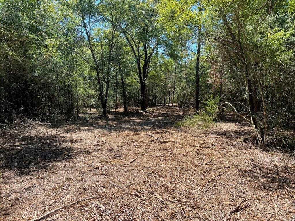 Picture 4