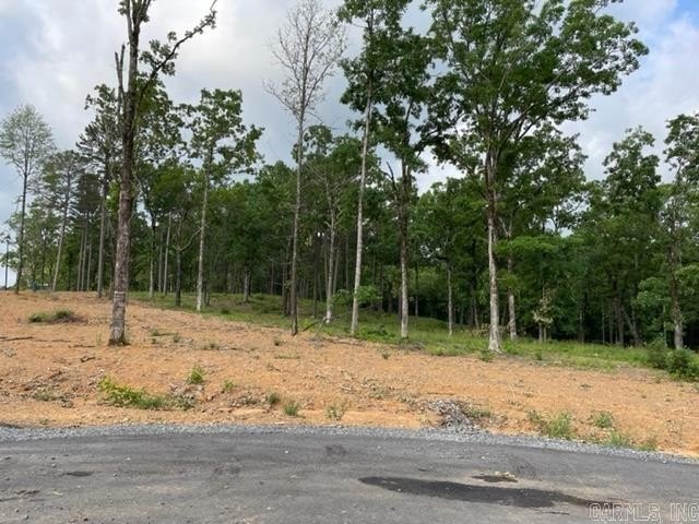 Picture 4