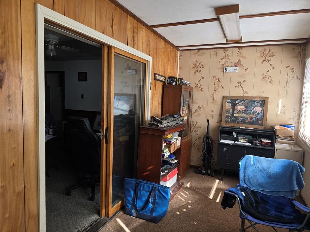 Picture 19