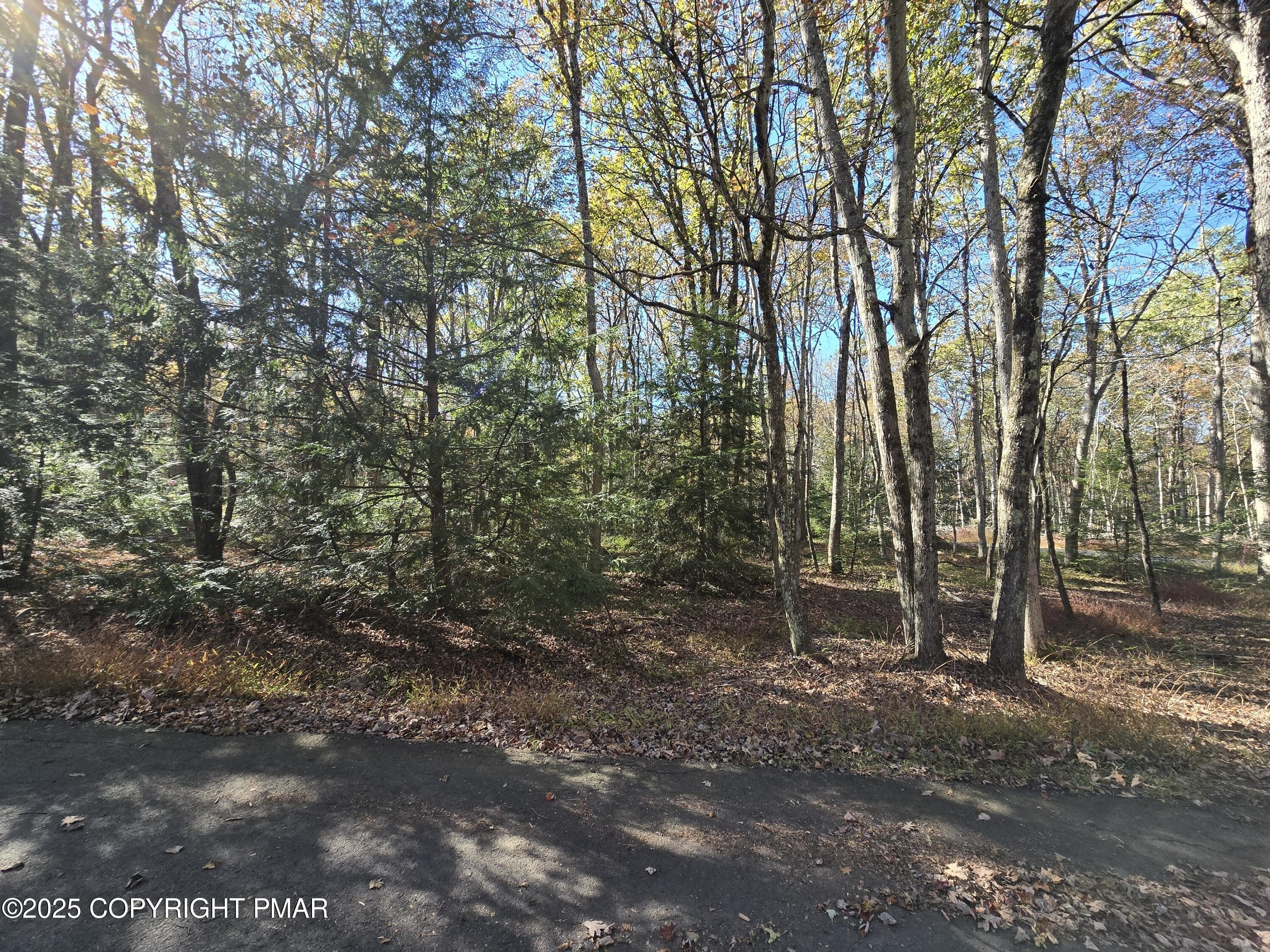 Wooded Lot in Jim Thorpe