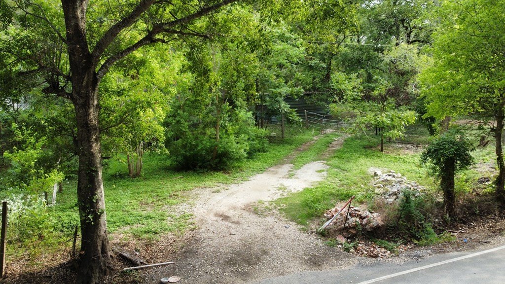 Picture 7