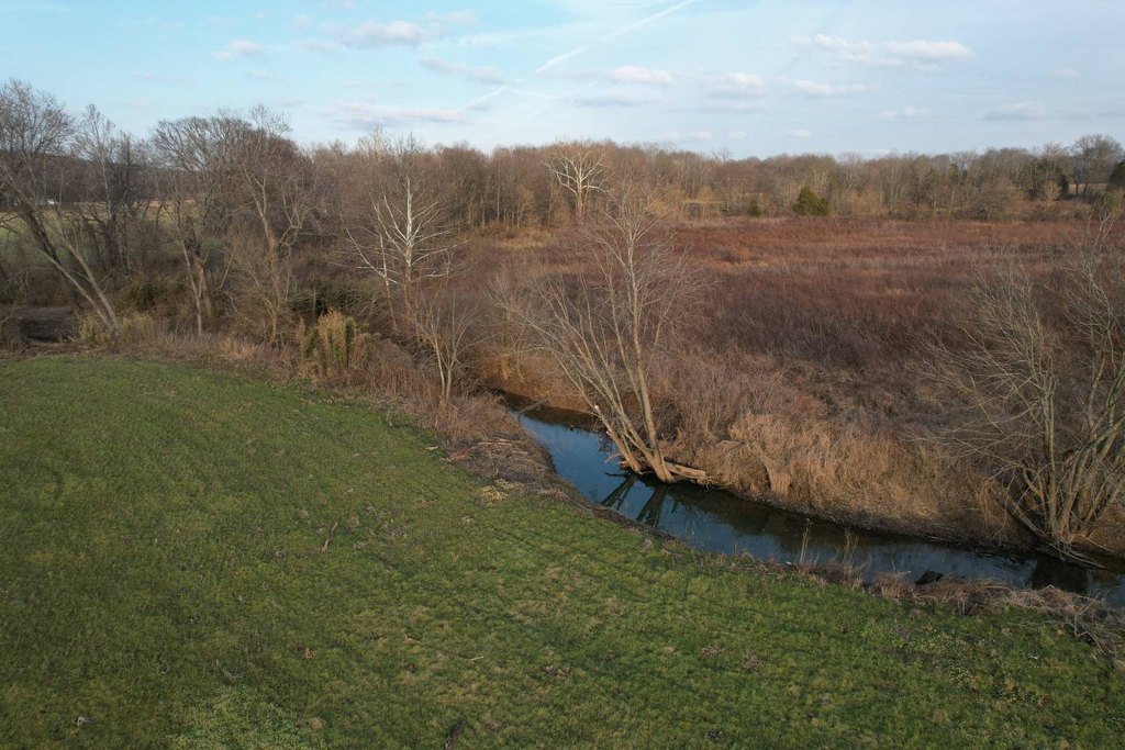 Picture 23