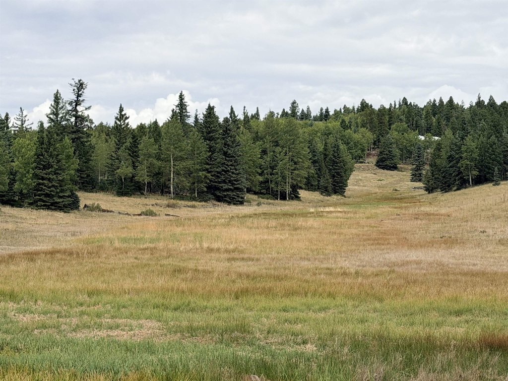 Picture 20
