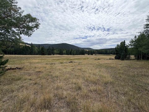 Land, Angel Fire, NM
