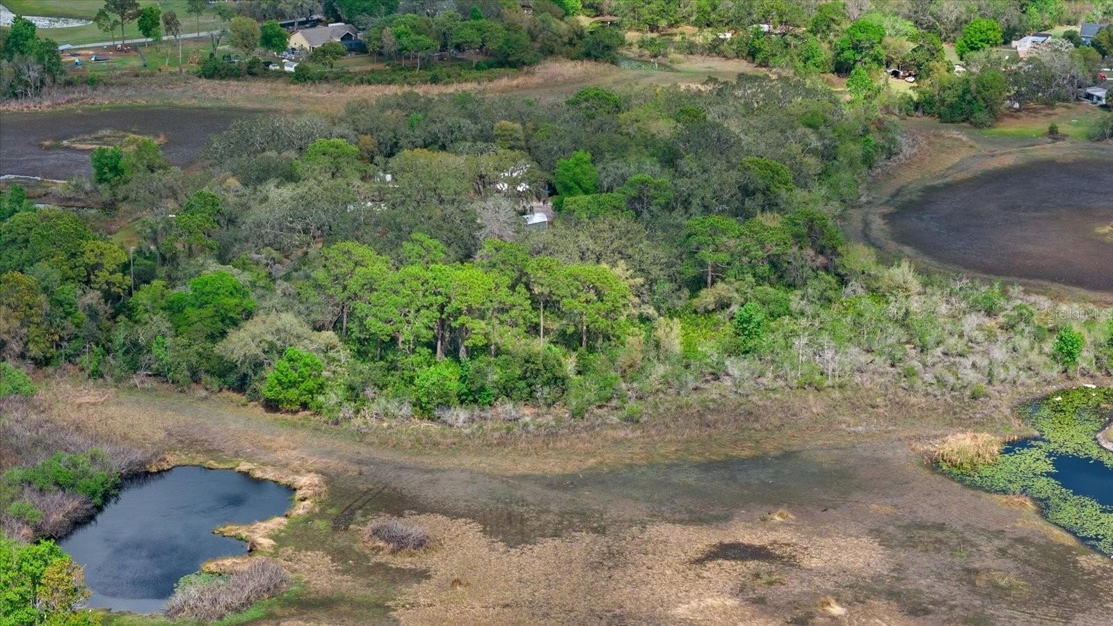 New Port Richey Acreage Opportunity