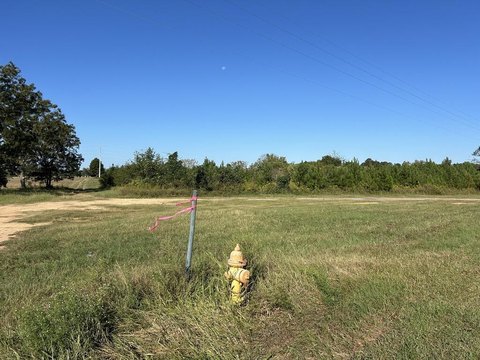Abbeville Land For Sale