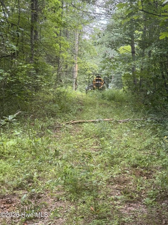 Picture 5