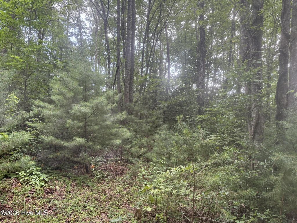Picture 8