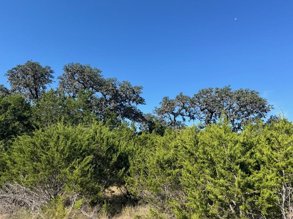 Land in Bandera, Texas