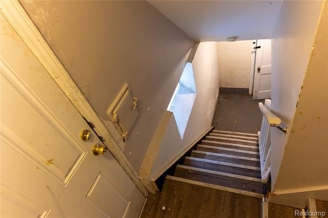 Picture 25