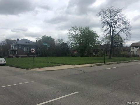 Detroit Land Opportunity Zone