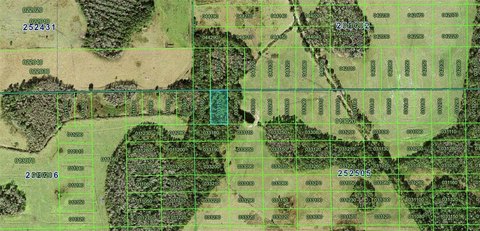 Polk City Vacant Land Parcel