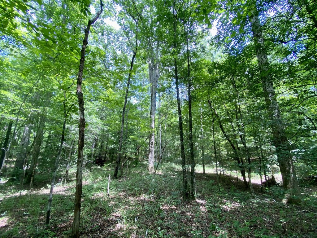 Picture 6