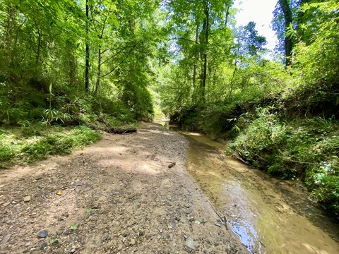 Land, Northport, AL