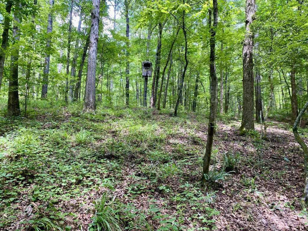 Picture 16