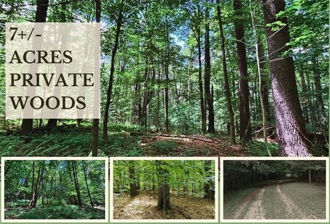 Harpersfield Land in the Catskills